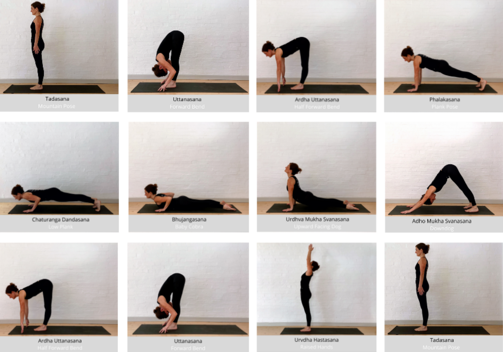 Sun Salutation Yoga Sequence | Ashtanga Yoga Pose Illustration